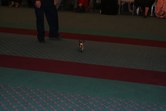 Enlarge photo 137