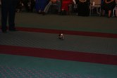 Enlarge photo 138