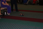 Enlarge photo 139