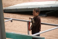 Enlarge photo 121