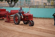 Enlarge photo 196