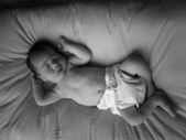 Noakai 8 Days