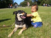 Enlarge photo 14
