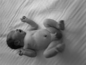Enlarge photo 30