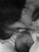 Enlarge photo 53