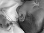 Enlarge photo 41