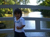 Enlarge photo 19