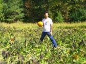 Enlarge photo 4
