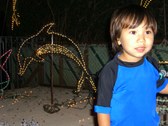 Enlarge photo 20