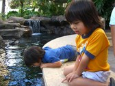 Enlarge photo 18