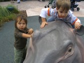 Enlarge photo 24