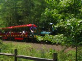 Enlarge photo 15