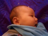 Enlarge photo 47