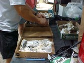 Enlarge photo 32