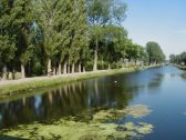 Enlarge photo 34