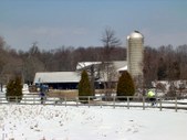 Enlarge photo 31