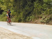 Enlarge photo 30