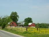 Enlarge photo 37