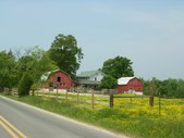Enlarge photo 38