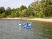 Enlarge photo 72