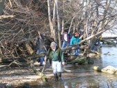 Enlarge photo 15