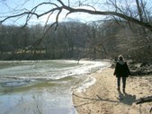 Enlarge photo 19