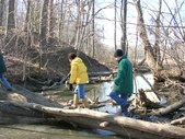 Enlarge photo 24