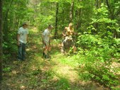 Enlarge photo 7
