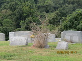 Enlarge photo 50