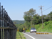 Enlarge photo 184