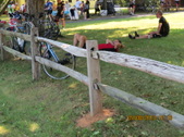 Enlarge photo 207