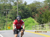 Enlarge photo 217
