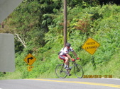 Enlarge photo 239