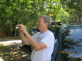 Enlarge photo 195