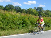 Enlarge photo 79