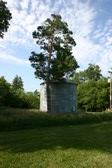 Enlarge photo 30