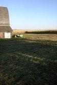 Enlarge photo 43