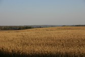 Enlarge photo 47