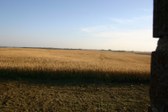 Enlarge photo 48