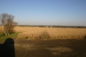 Enlarge photo 49