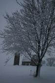 Enlarge photo 77