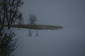 Enlarge photo 78