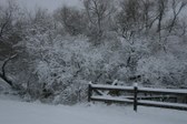 Enlarge photo 79