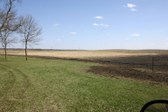 Enlarge photo 85