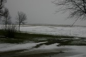Enlarge photo 86
