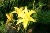 Enlarge photo 107