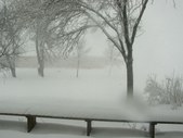 Enlarge photo 81