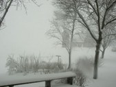 Enlarge photo 80