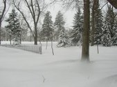 Enlarge photo 82
