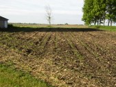 Enlarge photo 124